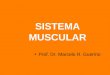 SISTEMA MUSCULAR Prof. Dr. Marcelo R. Guerino. Sistema Muscular Os ossos e as articula ç ões fornecem a estrutura e o suporte do corpo humano mas, por