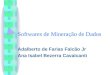 Softwares de Mineração de Dados Adalberto de Farias Falcão Jr Ana Isabel Bezerra Cavalcanti