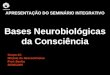 APRESENTAÇÃO DO SEMINÁRIO INTEGRATIVO Bases Neurobiológicas da Consciência Grupo 3C Módulo de Neurociências Prof: Benito 29/06/2009