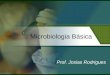 Microbiologia Básica Prof. Josias Rodrigues. Introdução à Microbiologia Áreas de aplicação da Microbiologia