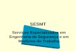 Serviços Especializados em Engenharia de Segurança e em Medicina do Trabalho SESMT