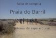 Sistema de sapal e dunar Saída de campo à A Ria Formosa é um parque natural (área protegida) numa extensão de 60 Km pela costa algarvia. É um sistema