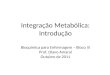 Integração Metabólica: Introdução Bioquímica para Enfermagem – Bloco III Prof. Olavo Amaral Outubro de 2011