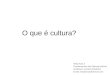 O que é cultura? Web Aula 3 Fundamentos das Ciências Sociais professor; Luciano Stodulny Email; stodulny@hotmail.com