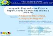 Ministério da Saúde Integração Regional entre Países e Repercussões nas Políticas Sociais e de Saúde A Saúde no MERCOSUL e Integração Regional Exposição:
