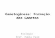 Gametogênese: Formação dos Gametas Biologia Prof. Pablo Paim