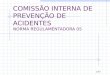 1/45 COMISSÃO INTERNA DE PREVENÇÃO DE ACIDENTES NORMA REGULAMENTADORA 05