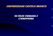 UNIVERSIDADE CASTELO BRANCO OS FILOS CNIDARIA E CTENOPHORA