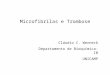 Microfibrilas e Trombose Cláudio C. Werneck Departamento de Bioquímica-IB UNICAMP