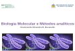 Biologia Molecular e Métodos analíticos Doutoranda Elizandra B. Buzanello