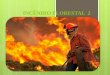 INCÊNDIO FLORESTAL 2. Estatística Planos de Proteção  Todo planejamento de proteção contra incêndios florestais tem como objetivo primário a redução