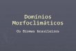 Dom­nios Morfoclimticos Os Biomas brasileiros. Os Biomas