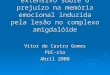 Efeito do treino extensivo sobre o prejuízo na memória emocional induzida pela lesão no complexo amigdalóide Vitor de Castro Gomes PUC-rio Abril 2008