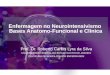 Enfermagem no Neurointensivismo Bases Anatomo-Funcional e Clínica Prof. Dr. Roberto Carlos Lyra da Silva UNIVERSIDADE FEDERAL DO ESTADO DO RIO DE JANEIRO