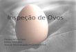 Inspeção de Ovos Fabiana Leôncio Garro Médica Veterinária Aluna de Pós-Graduação em Ciência Animal