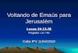 Voltando de Emaús para Jerusalém Lucas 24:13-36 Pregador: Lin I Ter Culto IPV 11/04/2010 1