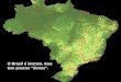 O Brasil é imenso, mas tem poucos “donos”.. Muita terra de poucos, usada para poucos pastarem