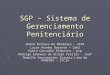 SGP – Sistema de Gerenciamento Penitenciário André Feitosa de Mendonça – afm4 Lucas Aranha Barreto – lab3 Pablo Carvalho Pinheiro - pcp Rodrigo Emanoel
