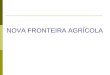 NOVA FRONTEIRA AGRÍCOLA. CANA DE AÇÚCAR “saccharus officinarum robusta”