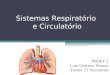 Sistemas Respiratório e Circulatório PROEF 2 Luiz Gustavo Franco Turma 71 (iniciante)