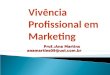 Prof.:Ana Martins anamartins09@uol.com.br Vivência Profissional em Marketing