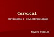 Cervical cervicalgia e cervicobraquialgia cervicalgia e cervicobraquialgia Nayara Pereira