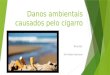 Danos ambientais causados pelo cigarro Nível EJA Por Rafael Hermann