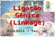 Ligação Gênica (Linkage) BIOLOGIA – Yes, we can! Prof. Thiago Moraes Lima