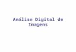 Análise Digital de Imagens Disciplina de Fotointerpretação Nelson W. Dias, PhD UNITAU – Ciências Agrárias