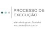 PROCESSO DE EXECUÇÃO Marcelo Augusto Scudeler mscudeler@uol.com.br