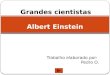 Albert Einstein Grandes cientistas Trabalho elaborado por: Pedro O