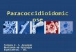 Paracoccidioidomicose Tatiana R. S. Assunção Mestranda em Patologia Experimental – UEL