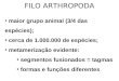 FILO ARTHROPODA maior grupo animal (3/4 das espécies); cerca de 1.000.000 de espécies; metamerização evidente: segmentos fusionados = tagmas formas e funções