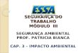 SEGURANÇA DO TRABALHO MÓDULO III SEGURANÇA AMBIENTAL PROF. PATRICIA BIANCA CAP. 3 – IMPACTO AMBIENTAL