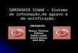 SEMINÁRIO SINAN – Sistema de informação,de agravo e de notificação. COMPONENTES: Marcus Vinicius Andreza Kamila Luana Lorena Dantas Ruth Maia