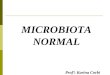 MICROBIOTA NORMAL Prof: Karina Corbi. MICROBIOTA NORMAL 1. Introdu§£o 2. Fun§£o 3. Microbiota da pele 4. Microbiota da boca e das vias a©reas superiores