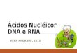 Ácidos Nucléicos – DNA e RNA VERA ANDRADE, 2015. Núcleo Envoltório nuclear Nucléolo Cromatina Poro (complexo)