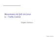 Edgard Jamhour Mecanismos de QoS em Linux tc – Traffic Control Edgard Jamhour