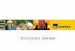 Instituto Gerdau. O Instituto Gerdau dedica-se a programas sociais de abrangência nacional, por meio de sua área executiva e programas nas comunidades
