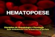 HEMATOPOESE Disciplina de Hematologia e Oncologia Depto. de Medicina da F.C.M. da Santa Casa de São Paulo