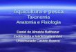 Aqüicultura e pesca Taxonomia Anatomia e Fisiologia Daniel de Almeida Balthazar Zootecnista e Médico veterinário Universidade Castelo Branco
