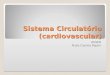 Sistema Circulatório (cardiovascular) ASSER Profa Camila Papini