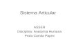 Sistema Articular ASSER Disciplina: Anatomia Humana Profa Camila Papini