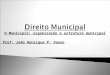 O Município: organização e estrutura municipal Prof. João Henrique P. Venzo