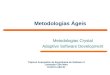 Metodologias Ágeis Metodologias Crystal Adaptive Software Development Tópicos Avançados de Engenharia de Software 3 Leonardo Cole Neto lcn@cin.ufpe.br