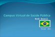 Nodo Brasil Panamá -2011. Experiências Positivas Incorporação de 35 instituições da Rede de Escolas de Governo e Centros Formadores em Saúde Pública Formulário