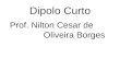 Dipolo Curto Prof. Nilton Cesar de Oliveira Borges
