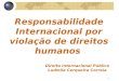 1 Responsabilidade Internacional por violação de direitos humanos Direito Internacional Público Ludmila Cerqueira Correia