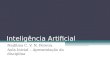 Inteligência Artificial Nadilma C. V. N. Pereira Aula Inicial – Apresentação da disciplina