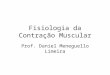 Fisiologia da Contração Muscular Prof. Daniel Meneguello Limeira